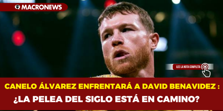 CANELO ÁLVAREZ ENFRENTARÁ A DAVID BENAVIDEZ : ¿LA PELEA DEL SIGLO ESTÁ EN CAMINO?