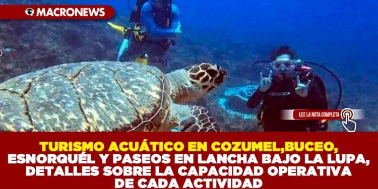 TURISMO ACUÁTICO EN COZUMEL,BUCEO, ESNORQUÉL Y PASEOS EN LANCHA BAJO LA LUPA,DETALLES SOBRE LA CAPACIDAD OPERATIVA DE CADA ACTIVIDAD