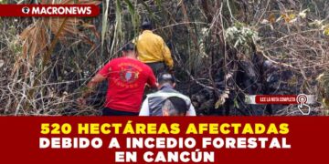 520 HECTÁREAS AFECTADAS DEBIDO A INCEDIO FORESTAL EN CANCÚN