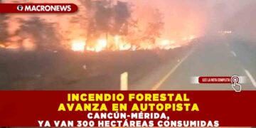 INCENDIO FORESTAL AVANZA EN AUTOPISTA CANCÚN-MÉRIDA, YA VAN 300 HECTÁREAS CONSUMIDAS