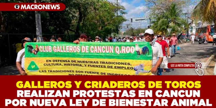 GALLEROS Y CRIADEROS DE TOROS REALIZAN PROTESTAS EN CANCUN POR NUEVA LEY DE BIENESTAR ANIMAL