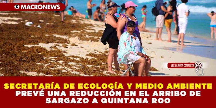 SECRETARÍA DE ECOLOGÍA Y MEDIO AMBIENTE PREVÉ UNA REDUCCIÓN EN EL ARRIBO DE SARGAZO A QUINTANA ROO