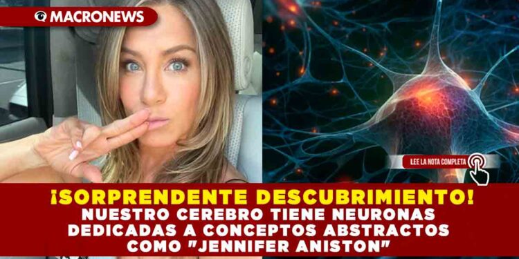  ¡SORPRENDENTE DESCUBRIMIENTO! NUESTRO CEREBRO TIENE NEURONAS DEDICADAS A CONCEPTOS ABSTRACTOS COMO «JENNIFER ANISTON»