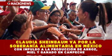 CLAUDIA SHEINBAUM VA POR LA SOBERANÍA ALIMENTARIA EN MÉXICO CON IMPULSO A LA PRODUCCIÓN DE ARROZ, MIEL Y GANADO EN CAMPECHE