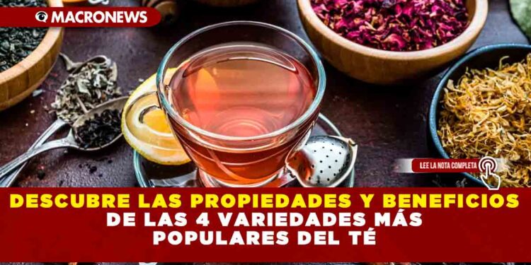 DESCUBRE LAS PROPIEDADES Y BENEFICIOS DE LAS 4 VARIEDADES MÁS POPULARES DEL TÉ