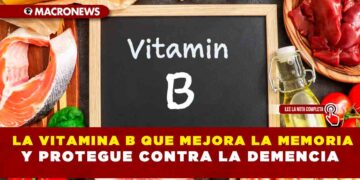 LA VITAMINA B QUE MEJORA LA MEMORIA Y PROTEGUE CONTRA LA DEMENCIA