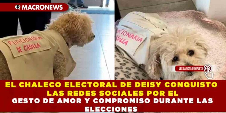 EL CHALECO ELECTORAL DE DEISY CONQUISTO LAS REDES SOCIALES POR EL GESTO DE AMOR Y COMPROMISO DURANTE LAS ELECCIONES