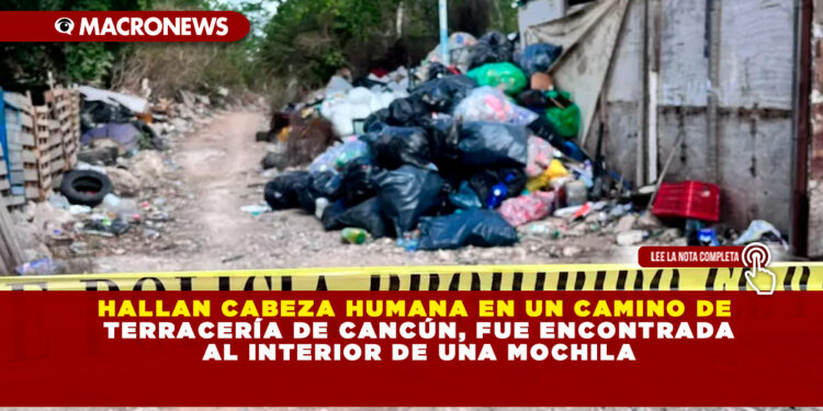 HALLAN CABEZA HUMANA EN UN CAMINO DE TERRACERÍA DE CANCÚN, FUE ENCONTRADA AL INTERIOR DE UNA MOCHILA