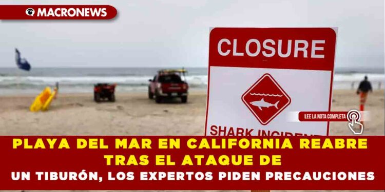 PLAYA DEL MAR EN CALIFORNIA REABRE TRAS EL ATAQUE DE UN TIBURÓN, LOS EXPERTOS PIDEN PRECAUCIONES