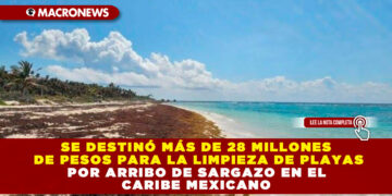 SE DESTINÓ MÁS DE 28 MILLONES DE PESOS PARA LA LIMPIEZA DE PLAYAS POR ARRIBO DE SARGAZO EN EL CARIBE MEXICANO