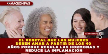 EL VEGETAL QUE LAS MUJERES DEBEN AMAR A PARTIR DE LOS 40 AÑOS PORQUE REGULA LAS HORMONAS Y REDUCE LA INFLAMACIÓN