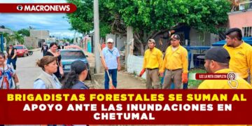 BRIGADISTAS FORESTALES SE SUMAN AL APOYO ANTE LAS INUNDACIONES EN CHETUMAL