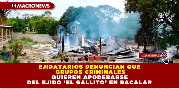 EJIDATARIOS DENUNCIAN QUE GRUPOS CRIMINALES QUIEREN APODERARSE DEL EJIDO ‘EL GALLITO’ EN BACALAR