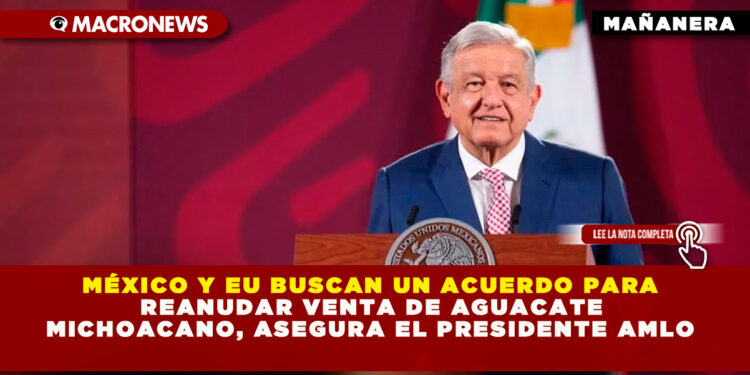 MÉXICO Y EU BUSCAN UN ACUERDO PARA REANUDAR VENTA DE AGUACATE MICHOACANO, ASEGURA EL PRESIDENTE AMLO