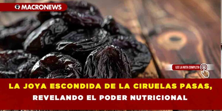 LA JOYA ESCONDIDA DE LA CIRUELAS PASAS, REVELANDO EL PODER NUTRICIONAL