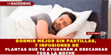 DORMIR MEJOR SIN PASTILLAS, 7 INFUSIONES DE PLANTAS QUE TE AYUDARÁN A DESCANSAR TODA LA NOCHE