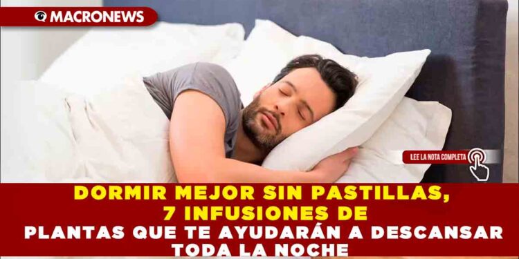 DORMIR MEJOR SIN PASTILLAS, 7 INFUSIONES DE PLANTAS QUE TE AYUDARÁN A DESCANSAR TODA LA NOCHE