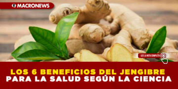 LOS 6 BENEFICIOS DEL JENGIBRE PARA LA SALUD SEGÚN LA CIENCIA