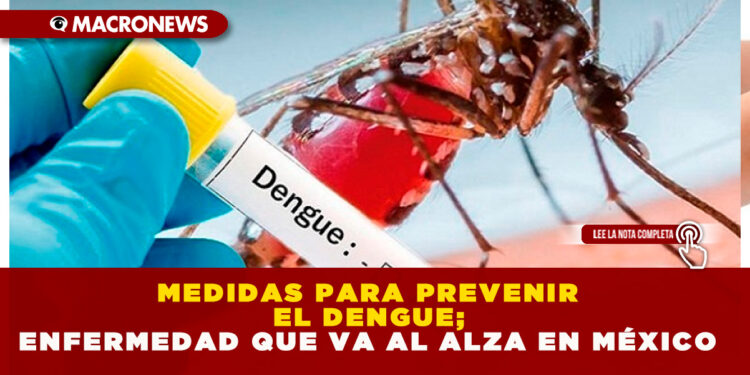 MEDIDAS PARA PREVENIR EL DENGUE; ENFERMEDAD QUE VA AL ALZA EN MÉXICO