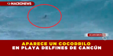 APARECE UN COCODRILO EN PLAYA DELFINES DE CANCÚN