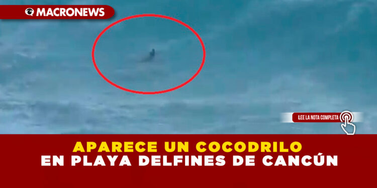APARECE UN COCODRILO EN PLAYA DELFINES DE CANCÚN