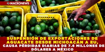 SUSPENSIÓN DE EXPORTACIONES DE AGUACATE DESDE MICHOACÁN A EU, CAUSA PÉRDIDAS DIARIAS DE 7.6 MILLONES DE DÓLARES A MÉXICO