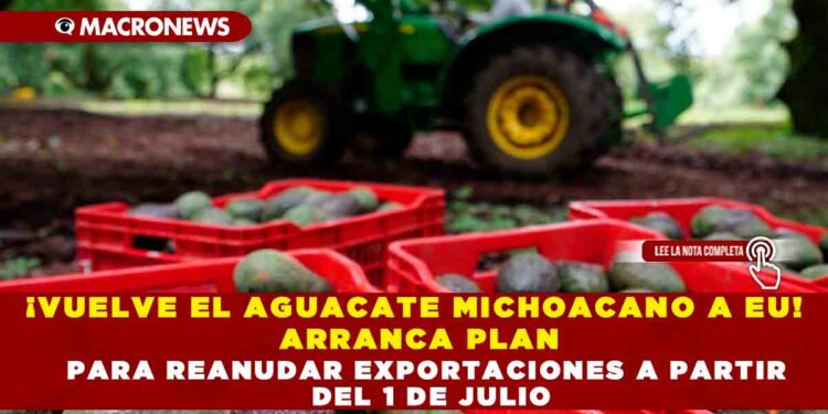 ¡VUELVE EL AGUACATE MICHOACANO A EU! ARRANCA PLAN PARA REANUDAR EXPORTACIONES A PARTIR DEL 1 DE JULIO