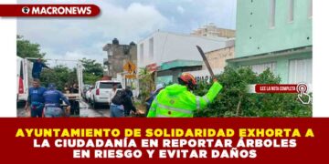 AYUNTAMIENTO DE SOLIDARIDAD EXHORTA A LA CIUDADANÍA EN REPORTAR ÁRBOLES EN RIESGO Y EVITAR DAÑOS