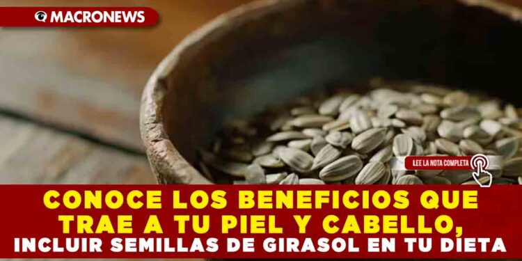 CONOCE LOS BENEFICIOS QUE TRAE A TU PIEL Y CABELLO, INCLUIR SEMILLAS DE GIRASOL EN TU DIETA