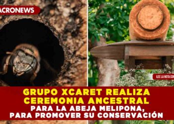 GRUPO XCARET REALIZA CEREMONIA ANCESTRAL PARA LA ABEJA MELIPONA, PARA PROMOVER SU CONSERVACIÓN