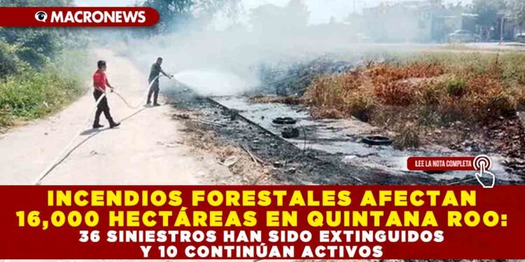 INCENDIOS FORESTALES AFECTAN 16,000 HECTÁREAS EN QUINTANA ROO: 36 SINIESTROS HAN SIDO EXTINGUIDOS Y 10 CONTINÚAN ACTIVOS