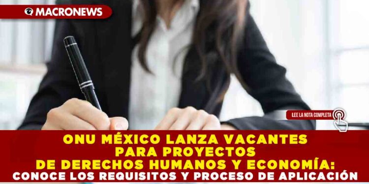 ONU MÉXICO LANZA VACANTES PARA PROYECTOS DE DERECHOS HUMANOS Y ECONOMÍA: CONOCE LOS REQUISITOS Y PROCESO DE APLICACIÓN
