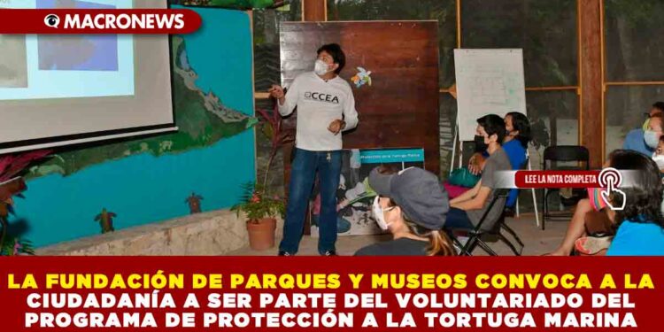 LA FUNDACIÓN DE PARQUES Y MUSEOS CONVOCA A LA CIUDADANÍA A SER PARTE DEL VOLUNTARIADO DEL PROGRAMA DE PROTECCIÓN A LA TORTUGA MARINA