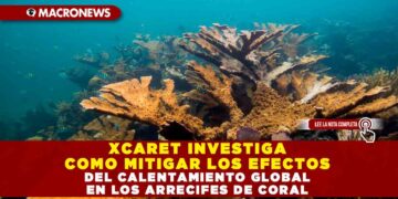 XCARET INVESTIGA COMO MITIGAR LOS EFECTOS DEL CALENTAMIENTO GLOBAL EN LOS ARRECIFES DE CORAL