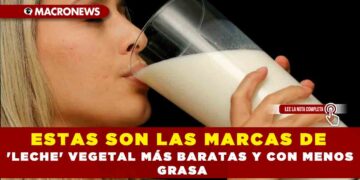 ESTAS SON LAS MARCAS DE ‘LECHE’ VEGETAL MÁS BARATAS Y CON MENOS GRASA