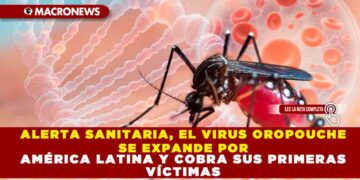ALERTA SANITARIA, EL VIRUS OROPOUCHE SE EXPANDE POR AMÉRICA LATINA Y COBRA SUS PRIMERAS VÍCTIMAS