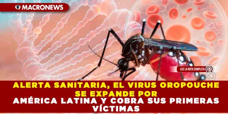 ALERTA SANITARIA, EL VIRUS OROPOUCHE SE EXPANDE POR AMÉRICA LATINA Y COBRA SUS PRIMERAS VÍCTIMAS
