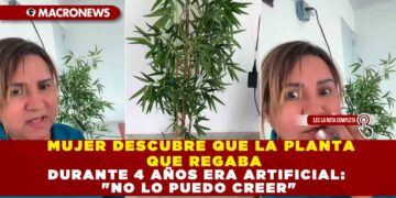MUJER DESCUBRE QUE LA PLANTA QUE REGABA DURANTE 4 AÑOS ERA ARTIFICIAL: «NO LO PUEDO CREER»