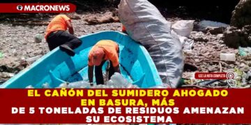EL CAÑÓN DEL SUMIDERO AHOGADO EN BASURA, MÁS DE 5 TONELADAS DE RESIDUOS AMENAZAN SU ECOSISTEMA