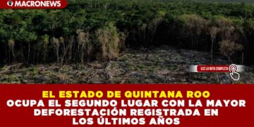 EL ESTADO DE QUINTANA ROO OCUPA EL SEGUNDO LUGAR CON LA MAYOR DEFORESTACIÓN REGISTRADA EN LOS ÚLTIMOS AÑOS