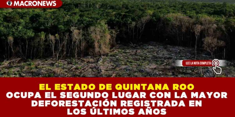 EL ESTADO DE QUINTANA ROO OCUPA EL SEGUNDO LUGAR CON LA MAYOR DEFORESTACIÓN REGISTRADA EN LOS ÚLTIMOS AÑOS