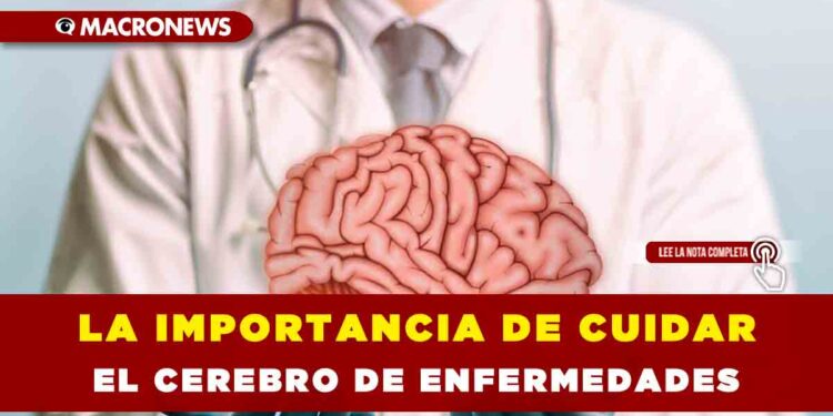 LA IMPORTANCIA DE CUIDAR EL CEREBRO DE ENFERMEDADES
