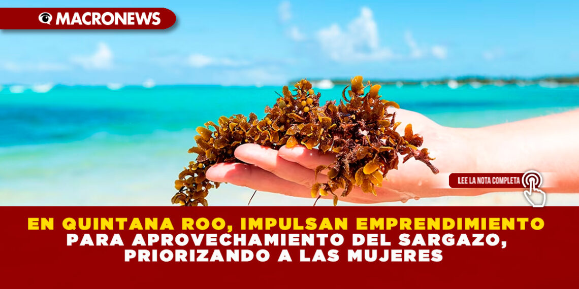 EN QUINTANA ROO, IMPULSAN EMPRENDIMIENTO PARA APROVECHAMIENTO DEL SARGAZO, PRIORIZANDO A LAS MUJERES