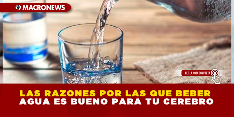 LAS RAZONES POR LAS QUE BEBER AGUA ES BUENO PARA TU CEREBRO