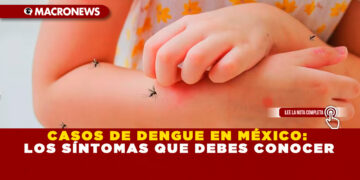 CASOS DE DENGUE EN MÉXICO: LOS SÍNTOMAS QUE DEBES CONOCER