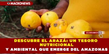 DESCUBRE EL ARAZÁ: UN TESORO NUTICIONAL Y AMBIENTAL QUE EMERGE DEL AMAZONAS