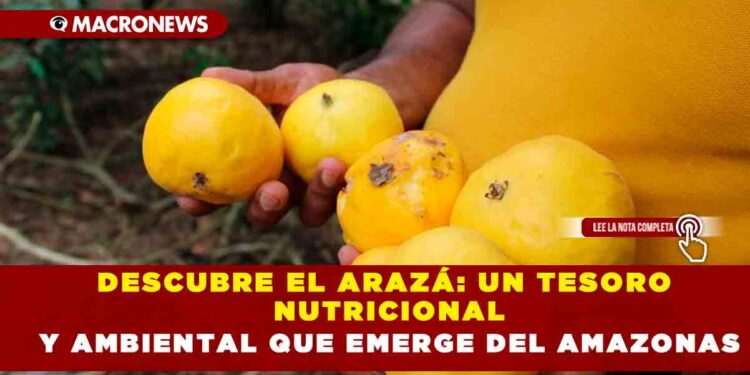 DESCUBRE EL ARAZÁ: UN TESORO NUTICIONAL Y AMBIENTAL QUE EMERGE DEL AMAZONAS
