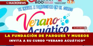 LA FUNDACIÓN DE PARQUES Y MUSEOS INVITA A SU CURSO “VERANO ACUÁTICO”
