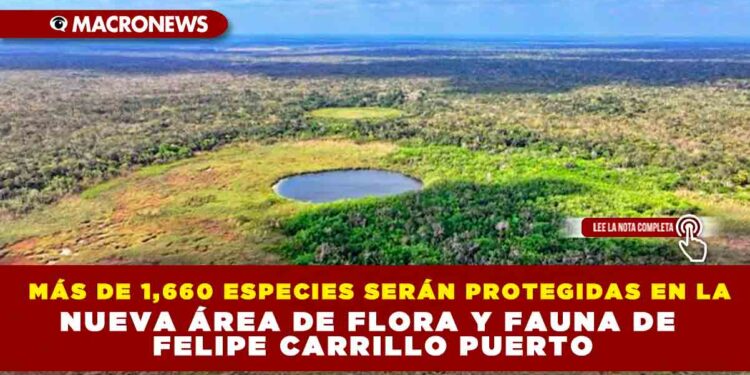 MÁS DE 1,660 ESPECIES SERÁN PROTEGIDAS EN LA NUEVA ÁREA DE FLORA Y FAUNA DE FELIPE CARRILLO PUERTO