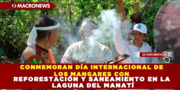 CONMEMORAN DÍA INTERNACIONAL DE LOS MANGARES CON REFORESTACIÓN Y SANEAMIENTO EN LA LAGUNA DEL MANATÍ